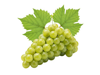 Obraz premium Fresh Green Grapes Cluster with Leaves Isolated on White