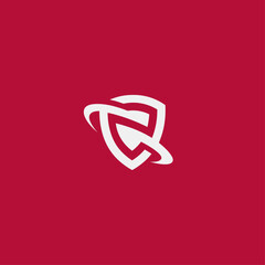 Shield logo icon flat vector design