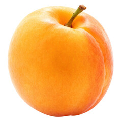 Fresh orange apricot fruit, looking ripe and juicy. single healthy food, whole and sweet for summer snack