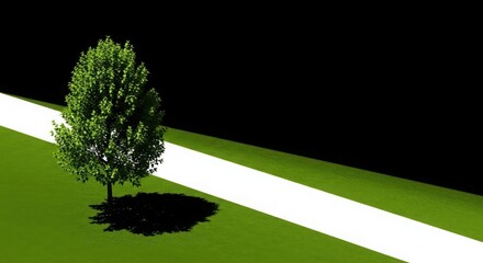 Obraz premium Single Green Tree on White Path and Green Grass with Black Background