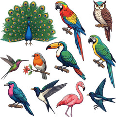Obraz premium Twelve Colorful Birds Vector Collection