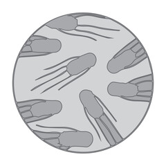 Bacterial Cells Illustration