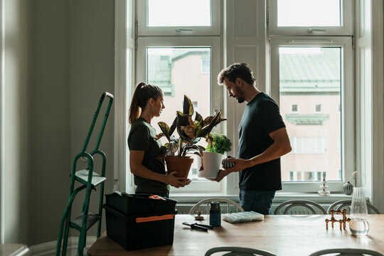 Man and woman keeping potted plant on window sill in new home