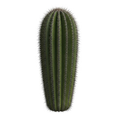 Naklejka premium Tall Saguaro Cactus Isolated Black Background