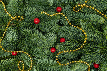 Evergreen Fir Branches with Red Berries and Golden Garland Christmas Flat Lay Background