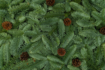 Evergreen Fir Branches with Cones Christmas and New Year Flat Lay Background