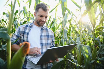 Farmer using laptop in corn field for precision agriculture
