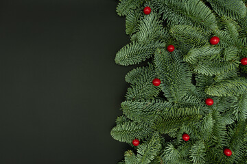 Evergreen Fir Branches with Red Berries Flat Lay on Dark Background with Copy Space