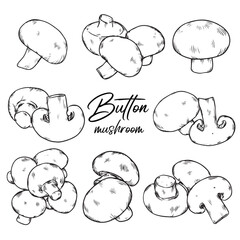Set of hand drawn button mushroom outline drawing illustration