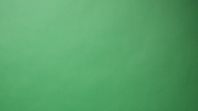 Feathers. Slow Motion of white feathers or bird wings falling against green screen background studio. Slowmotion soft feather falling down on air slowly to ground on greenscreen backdrop chroma key.