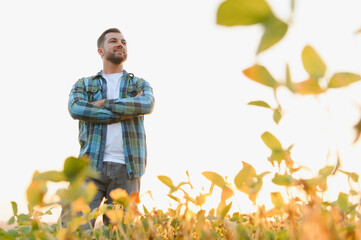 Farmer standing with crossed arms in soy field at sunset