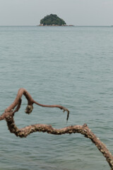Fototapeta premium Scenic view of a small lush green island in the calm sea, framed by a weathered driftwood branch in the foreground. Evokes the serenity, solitude, and raw beauty of a deserted tropical paradise