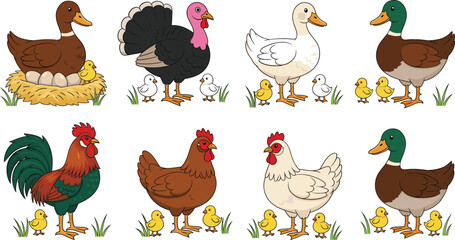Cute farm birds vector illustration set with chickens ducks turkey goose and baby chicks © Sumon Creative