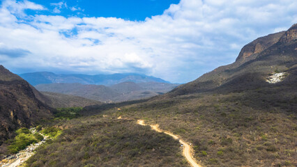 Dry tropical forest landscape in Lambayeque, Peru, highlighting native vegetation and the unique equatorial ecosystem of northern Peru