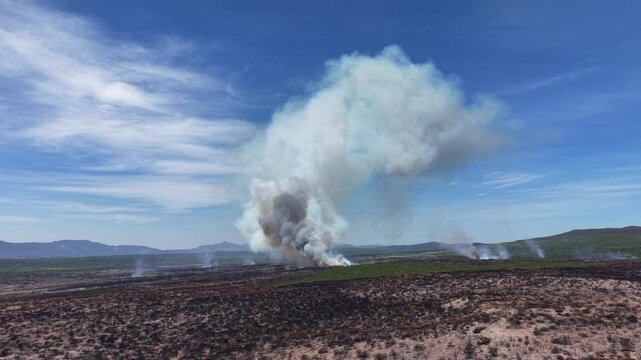 Aerial view of a field fire with billowing smoke plumes contrasting against the blue sky and scorched earth, Gansbaai, Western Cape, South Africa.