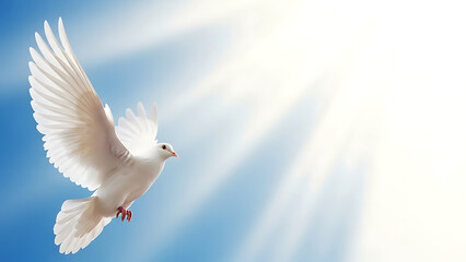 Fototapeta premium Flying dove soaring through a bright sky representing peace and spiritual freedom for religious or inspirational concepts