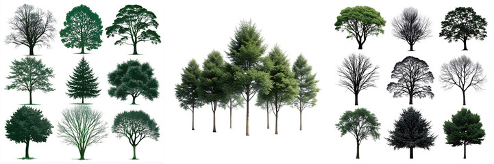 Set of A group of trees with different shades of green and black isolated on a transparent background