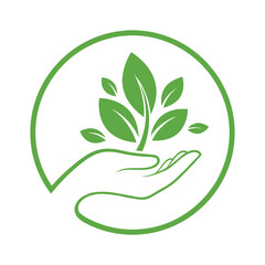 Green hand holding green leaves