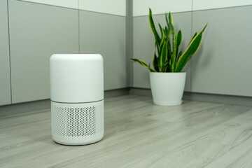 Sansevieria is the best natural air purifier that will keep your air clean. Pictured with air purifier. A double action solution against dust and air pollution in your home and office