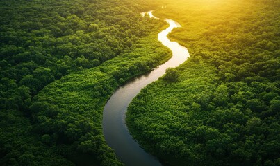 Golden hour aerial view of a winding river through lush greenery, deep rich natural hues, high-detail landscape photography, soft diffused lighting, breathtaking and serene nature scene