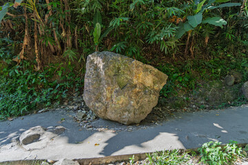 Obraz premium large boulder on paved path, khao yai, thailand — surrounded by dense jungle vegetation