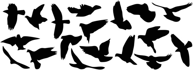 Set of silhouettes of flying ... © sonu