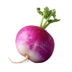 Fresh Radish on Blue Background 