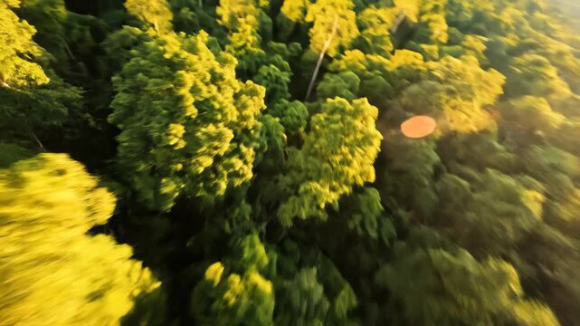 High-speed drone view skimming just above the lush green forest canopy resulting in spectacular blurred foliage streaks daylight, journey, rapidmovement