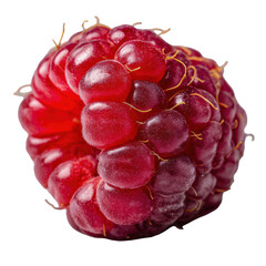 Juicy Red Raspberry Close-Up