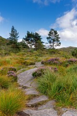 view of the heath and kiking area of the Djupadalen Nature Reserve near Haugersund in western Norway