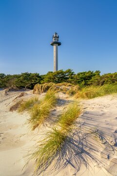 vertical view of the Dueodde Lighthouse with sand dunes and reeds in the foreground