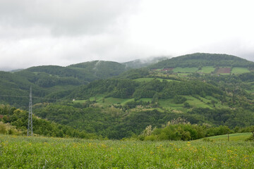 Lush Green Hills Under Cloudy Sky in Divcibare mountain in western Serbia