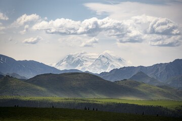 Tundra And Glaciated Peak Denali