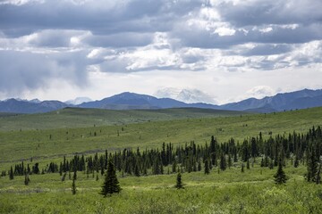 Tundra And Mountain Landscape With