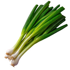 Fresh Green Onions on Purple Background