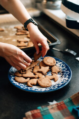 Finished gingerbread cookies on a plate