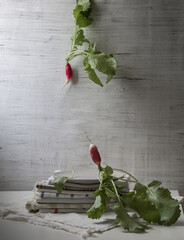 An ironic still life with radishes on a light background