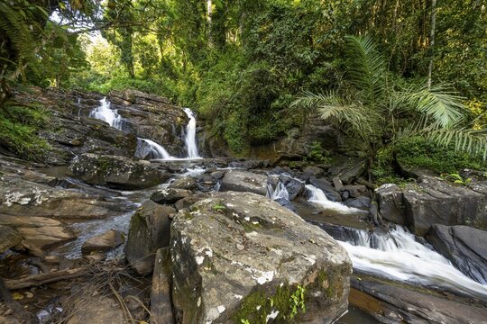 Derema Waterfall flows through thick vegetation, tropical rainforest in Amani Nature Forest Reserve, long exposure, Eastern Usambara Mountains, Tanga, Tanzania