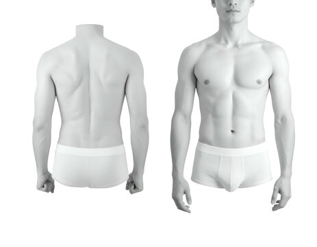 Full male torso views front and back, anatomically detailed