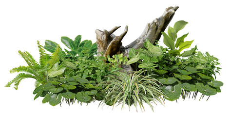 3D render of a garden decorated with tree stumps and tropical plants against a transparent background	
