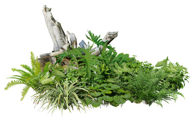 3D render of a garden decorated with tree stumps and tropical plants against a transparent background	
