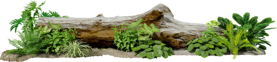 3D render of a garden decorated with tree stumps and tropical plants against a transparent background	
