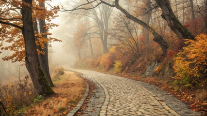 Fototapeta premium Serene foggy forest path in vibrant autumn colors, peaceful fall season landscape, dreamy nature trail, tranquil woodland road, seasonal background for calm moments