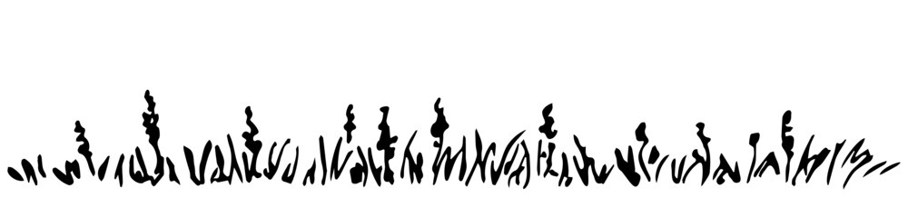 Simple hand drawn vector sketch in ink. Meadow wildflowers, grass, field plants, lawn. Nature and vegetation. Floral border, banner.