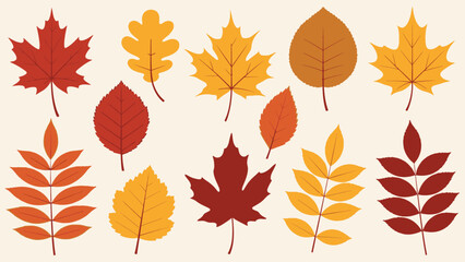 Diverse Autumn Leaves and Acorns Collection on a Light Beige Background