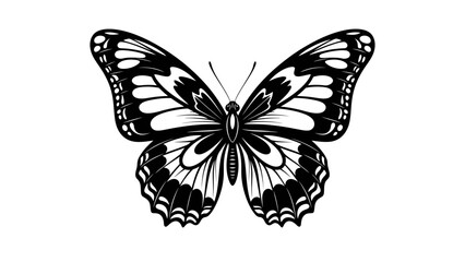 Obraz premium Elegant Butterfly Black and White Outline Isolated White Background