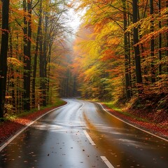 A wet, winding road through a forest ablaze with autumn colors. The canopy glows in the misty light