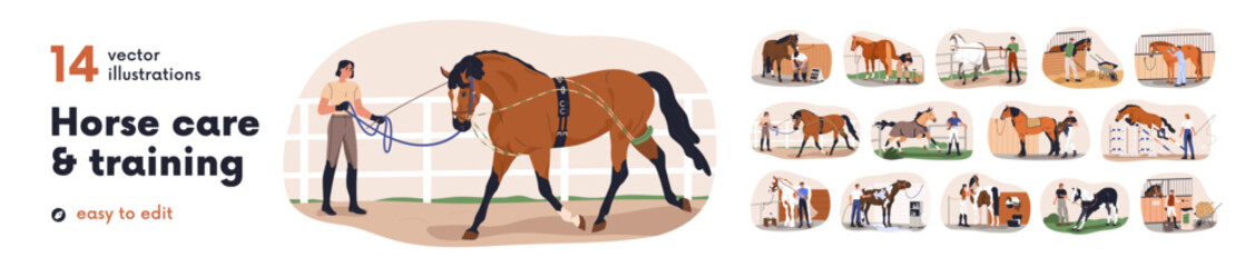 Horse care, treatment and training set. Workers breeding, cleaning, grooming, feeding equine animals. Equestrians with stallions in stables. Flat vector illustrations isolated on white background. © Good Studio