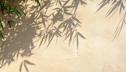 Japanese Zen Photography of Delicate Bamboo Leaf Shadows on a Texture Earthen Wall
