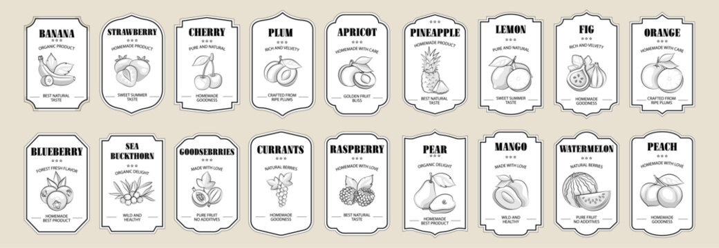 Vintage Black and White Label Set with Decorative Frames, Retro Badges and Royal Stickers